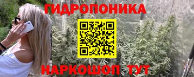 скорость Кимры