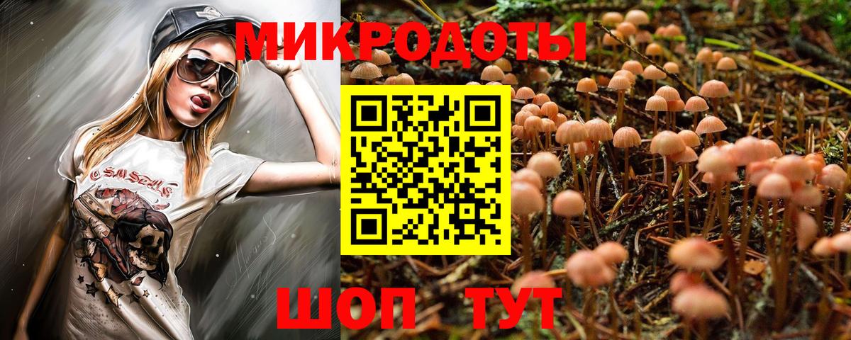 Псилоцибиновые грибы Cubensis Саки