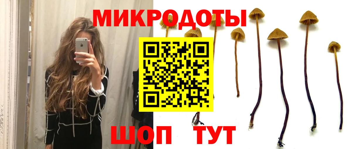 Саки  Галлюциногенные грибы MAGIC MUSHROOMS  Вход с VPN 